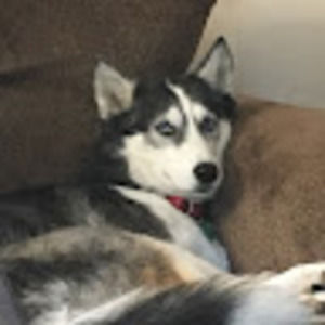 Meet your Posher, Laurie